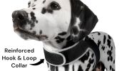 GPS Collar Pet Locating Device Waterproof Rechargeable Tracking Device Size:XXL