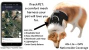 High Quality GPS Pet Tracking Collar Mounted Device Water Resilient Mini Locator Size:XXL