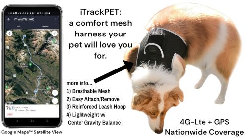 High Quality GPS Pet Tracking Collar Mounted Device Water Resilient Mini Locator Size:XXL